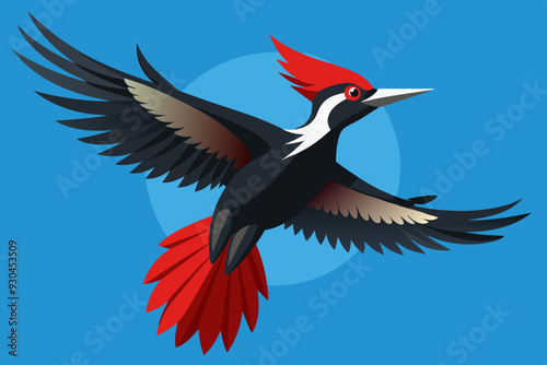 woodpecker vector art and illustration photo