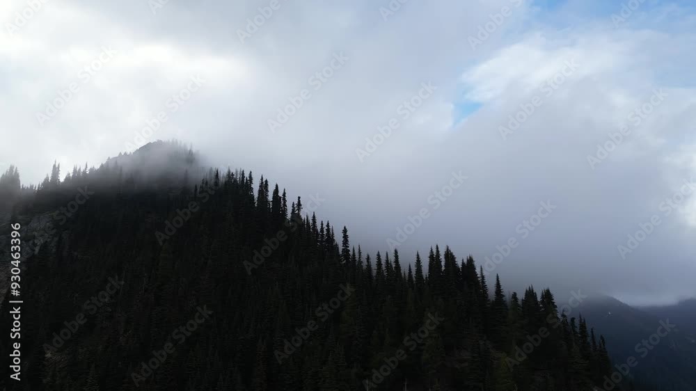 A beautiful, scenic view of a mountain peak with pine trees, partially shrouded in fog and mist on a cloudy day. Perfect for nature, travel, and environmental themes. British Columbia, Canada. A beautiful, scenic view of a mountain peak with pine trees, partially shrouded in fog and mist on a cloudy day. Perfect for nature, travel, and environmental themes. British Columbia, Canada.