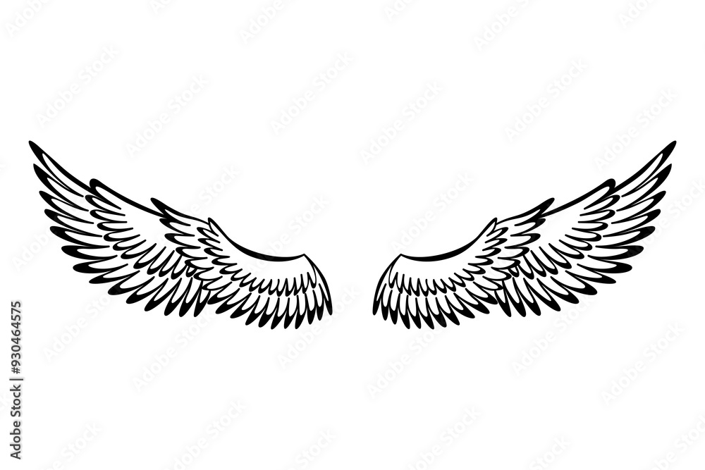 Fototapeta premium Wings sketch. Stylized birds wings. Hand drawn contoured stiker wing in open position. Vector design elements in coloring style