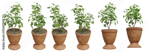 set of Potted Plant cut out 