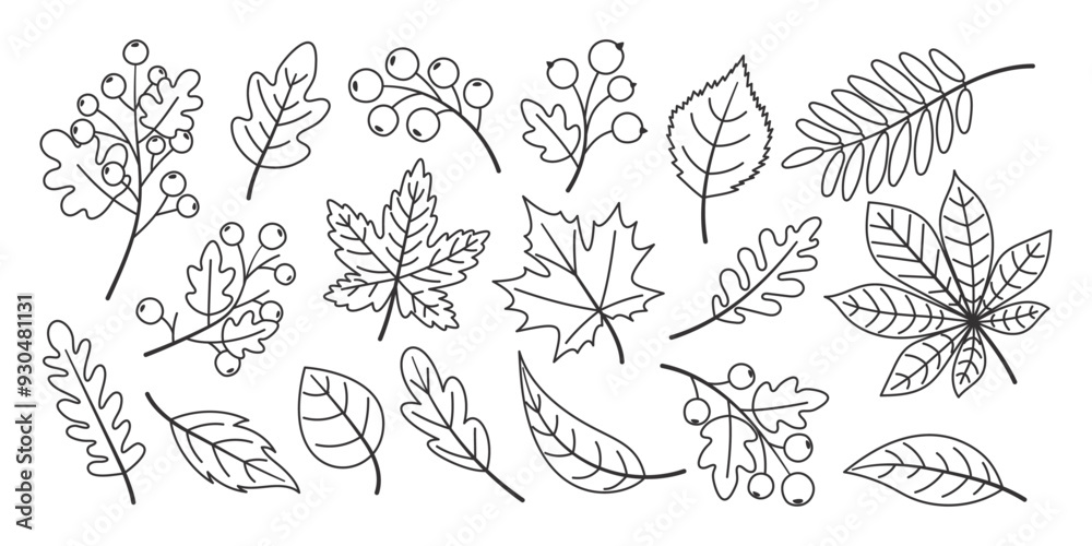 Set of hand drawn autumn leaves, line art style Set of hand drawn autumn leaves, line art style