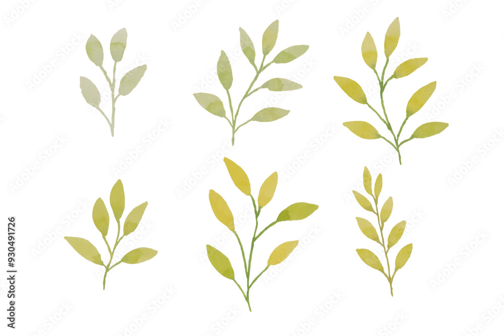 Naklejka premium Assortment of watercolor leaves illustration set - green leaf branches collection for wedding, greetings, stationary, wallpapers, fashion, background. olive, green leaves, Eucalyptus etc