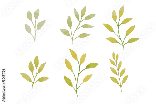 Assortment of watercolor leaves illustration set - green leaf branches collection for wedding, greetings, stationary, wallpapers, fashion, background. olive, green leaves, Eucalyptus etc