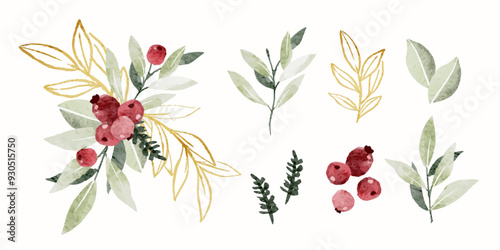Christmas Winter Plants Foliage Greenery Elements Bundle