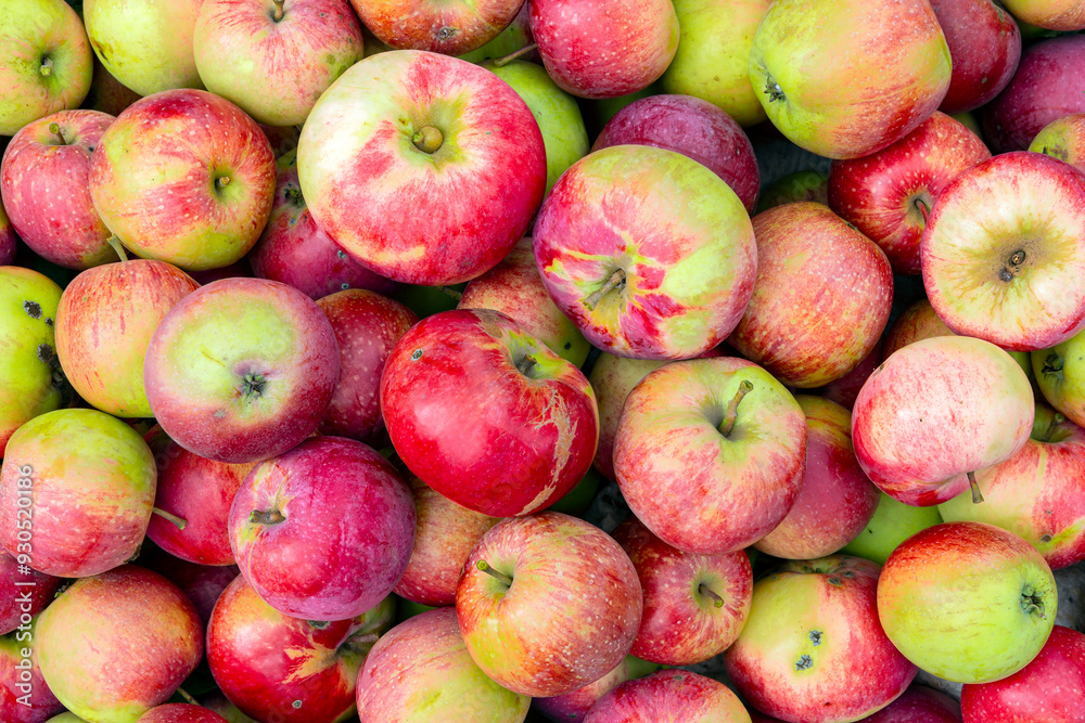Red and green apples. Background of ripe apples. Red and green apples. Background of ripe apples.