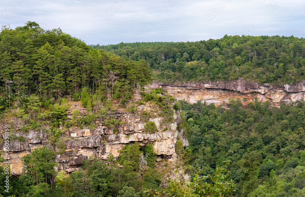 View from Eberhart Point Overlook in the summer: The craggy cliffs above the Little River Canyon National Preserve are framed by dense green forest. Little River Canyon Rim Parkway, Alabama. View from Eberhart Point Overlook in the summer: The craggy cliffs above the Little River Canyon National Preserve are framed by dense green forest. Little River Canyon Rim Parkway, Alabama.
