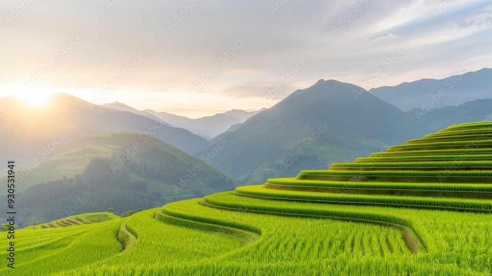 A beautiful green field with a hill in the background A beautiful green field with a hill in the background