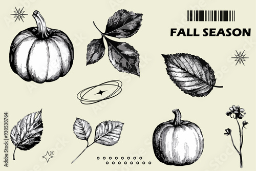 Autumn fall season elements set with pumpkin, herbarium leaves with grainy photocopy effect. y2k Grunge fall collection stippling. 