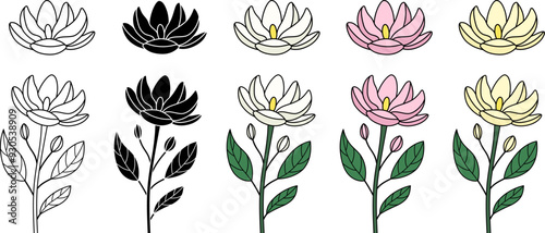 Magnolia Flower with Stem and Leaves Illustration Clipart - Isolated Outline and Silhouette Stamp