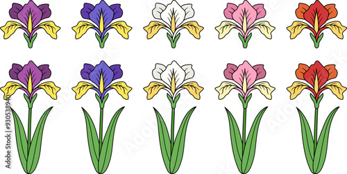 Iris Flower with Stem and Leaves Illustration Clipart - Isolated Pink, Purple, Blue, White and Red Colors