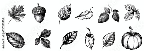 Collection autumn leaves, acorns, and pumpkin with grainy photocopy effect. y2k grunge fall collection.  Grain effect and stippling. Vector dots texture.	