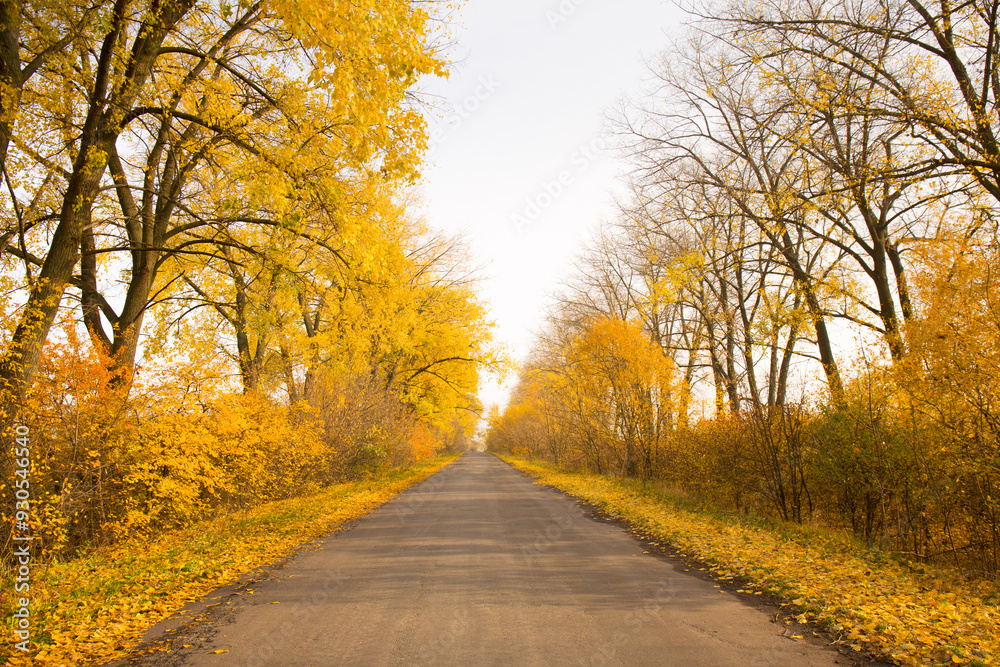 Naklejka premium Bright, autumn landscape along an empty country road