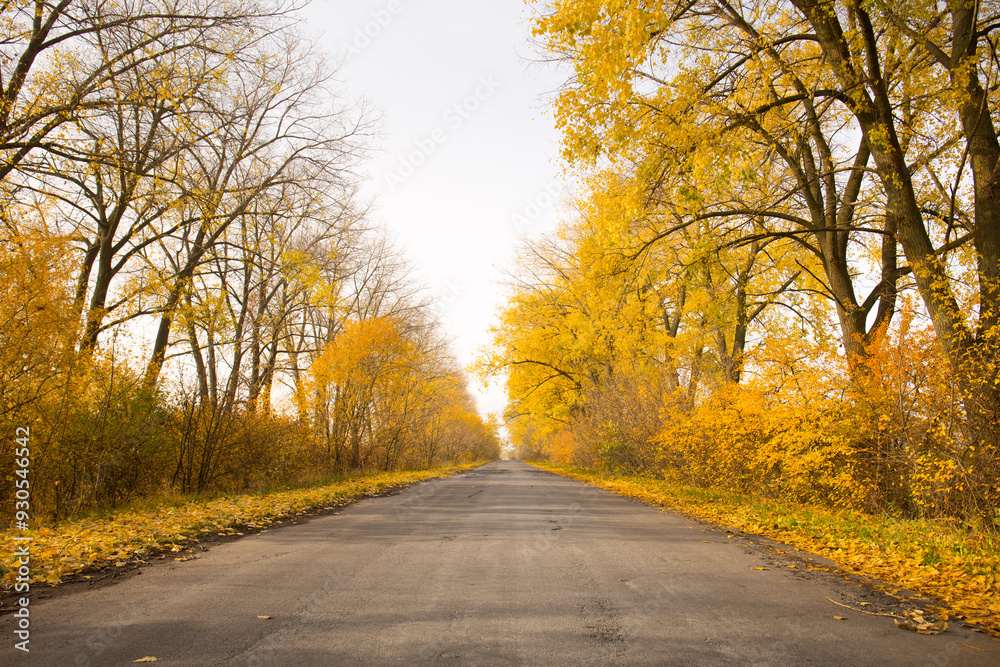 Beautiful autumn landscape along an empty country road Beautiful autumn landscape along an empty country road