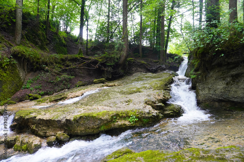 Obraz premium Die wundervolle Umgebung vom Geratser Wasserfall bei Rettenberg im Allgäu 