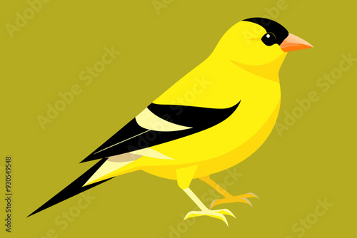 Goldfinch Bird vector art illustration