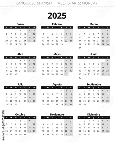 2025 year vertical spanish calendar. Printable vector grey and black illustration Spain