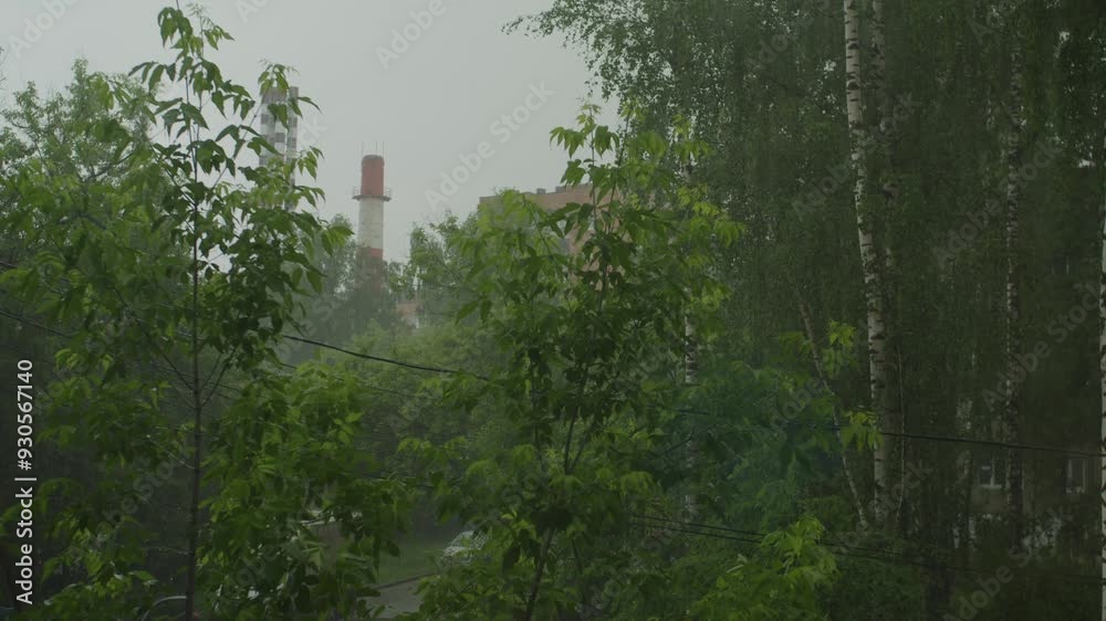 Heavy rain in the city against the background of trees and pipes of a thermal power plant
Heavy rain in the city against the background of trees and pipes of a thermal power plant