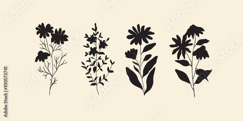 Flat vector camomile, st.john's wort, calendula, echinacea flowers	