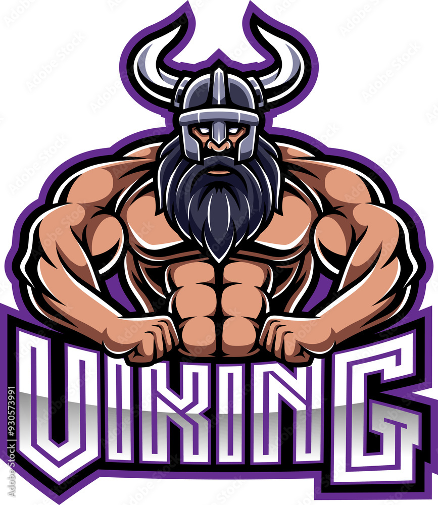 Fototapeta premium illustration of a viking vector