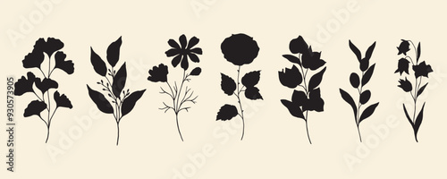 Flat vector ginkgo, eucalyptus, cosmos, rose, bougainvillea, olive, bluebell