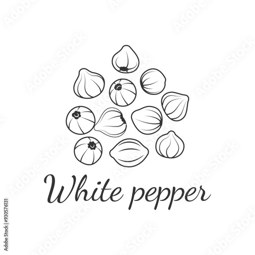 A handful of white peppercorns. Spice. Natural seasonings and ingredients for cooking. Vector illustration in doodle style.