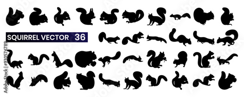 Set of 36 vector icons contains various stylized representations of squirrels. These icons can depict a squirrel standing, sitting, holding a nut, climbing a tree, or jumping.