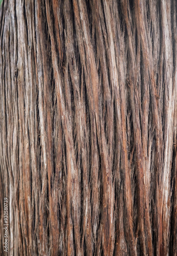 Background oBackground of beautiful old wood bark texture.	
f beautiful old wood bark texture. photo