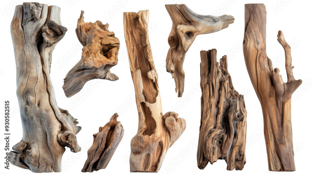 Fototapeta premium Natural Driftwood Pieces