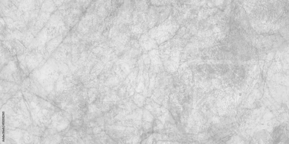 Fototapeta premium black and white polished Grunge marble texture art design, Abstract blurred Movement of smoke on black and white background, grunge texture in black and white color.