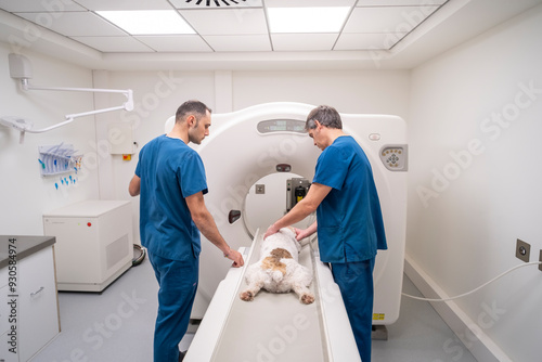 Cuadro en lienzo Two veterinarians in blue scrubs collaborate to operate a CT scanner, carefully positioning a small dog for an imaging procedure
