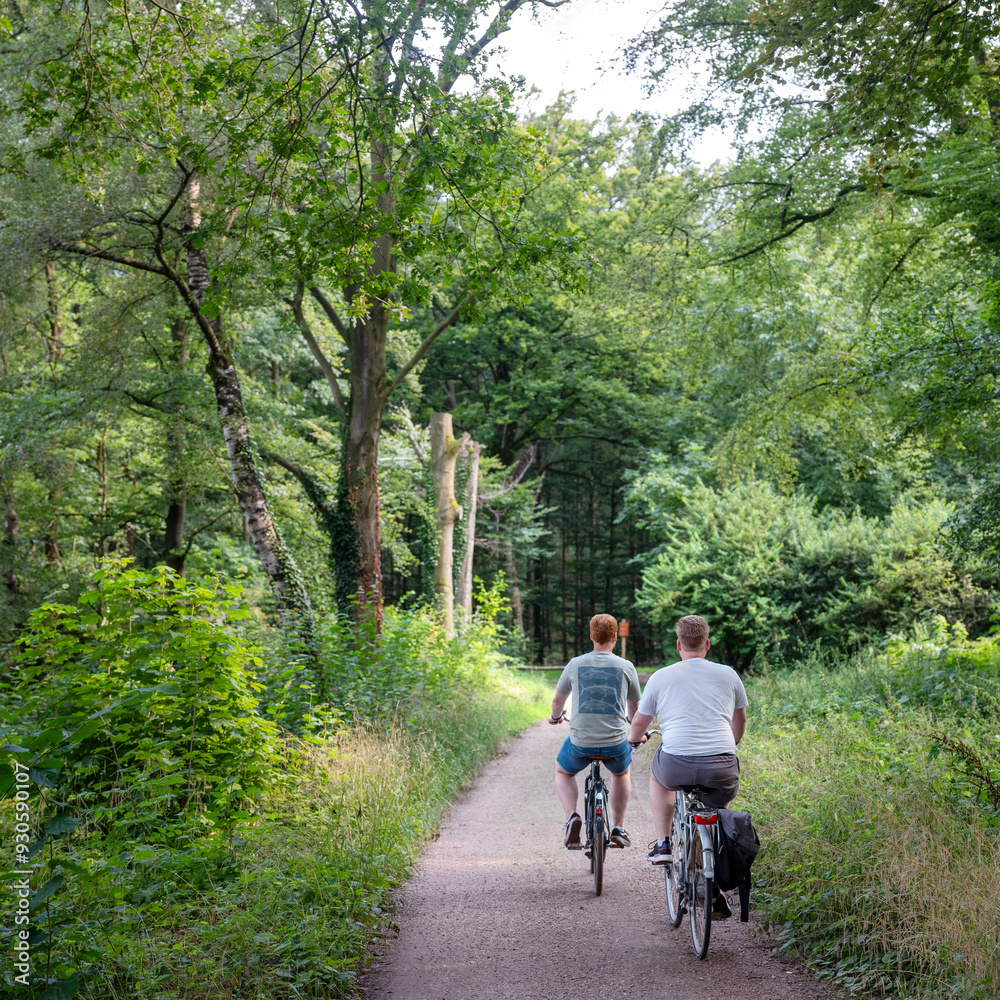 people ride bicycle on track through forest in the netherlands near doetinchem people ride bicycle on track through forest in the netherlands near doetinchem