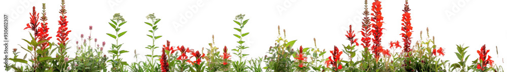 Row of Red and Green Flowering Plants Row of Red and Green Flowering Plants