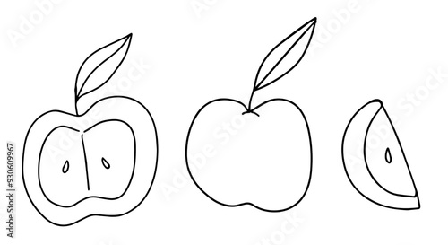 Hand drawn apple illustration. Set of apple slices. Simple outline fruits. Naive art.