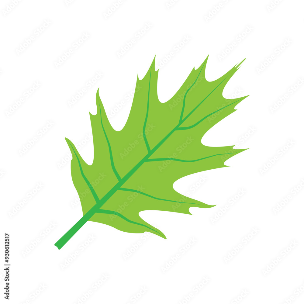 Fototapeta premium leaf logo vector