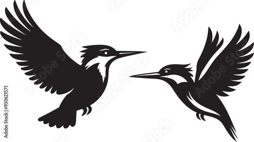Kingfisher bird icon and silhouette vector illustration