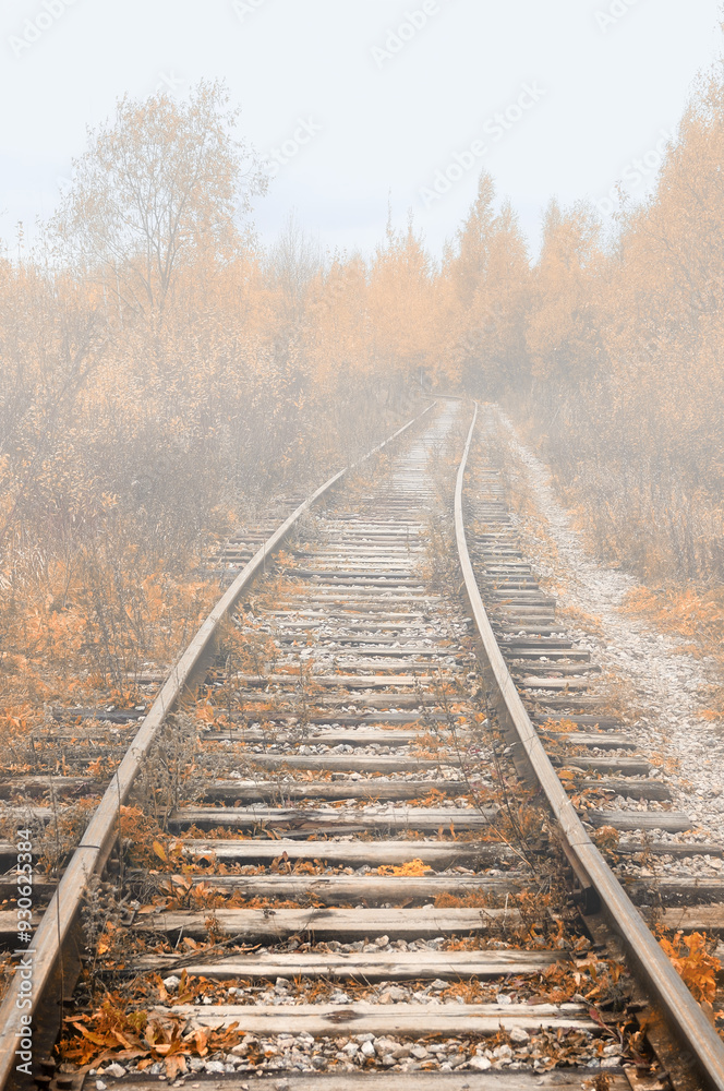 Fototapeta premium Autumn foggy landscape, abandoned railroad lost in the autumn forest, autumn industrial landscape scene