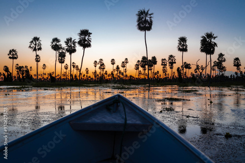 Tableau sur toile Atardecer increíble en el Bañado La Estrella, Formosa, Argentina