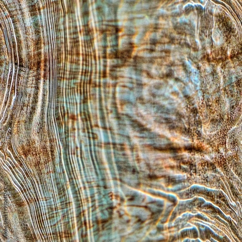 Close-up of natural textures, leaf patterns, wood grain, water ripples
