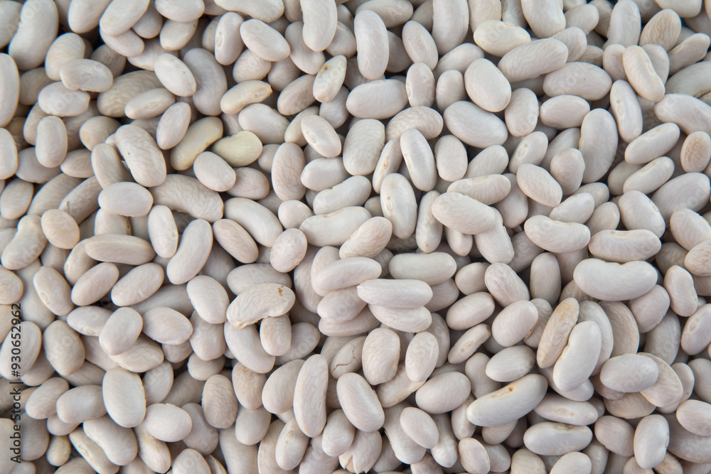 White haricot bean background image White haricot bean background image