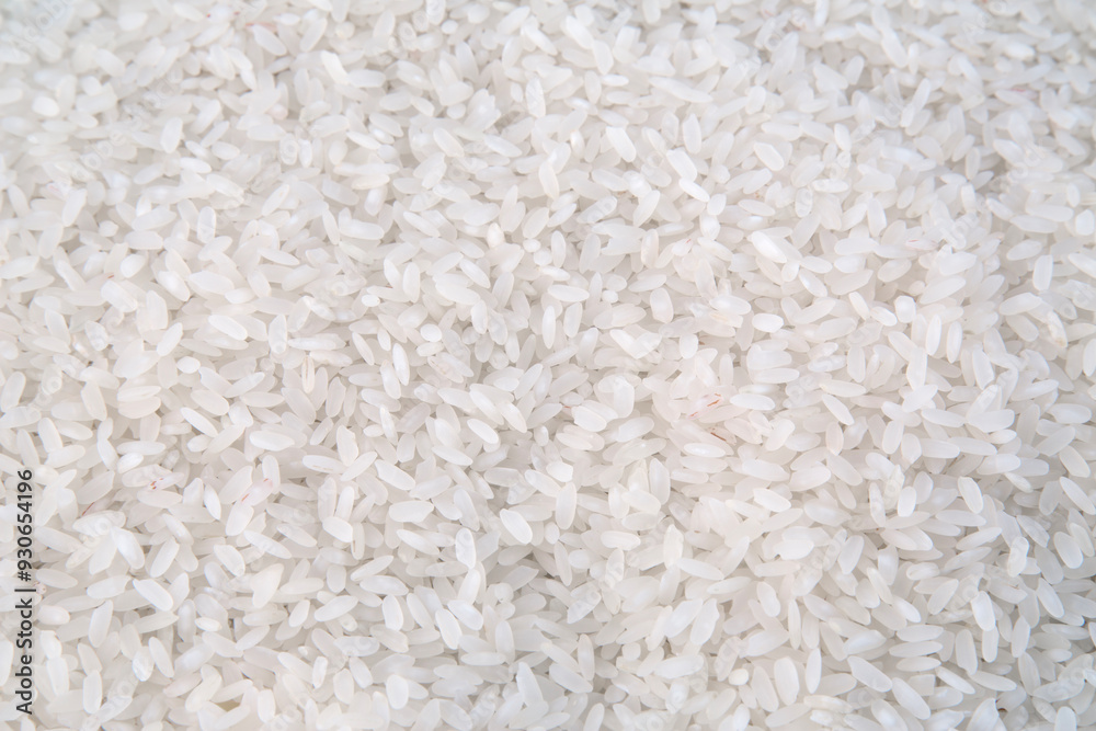Rice Rice