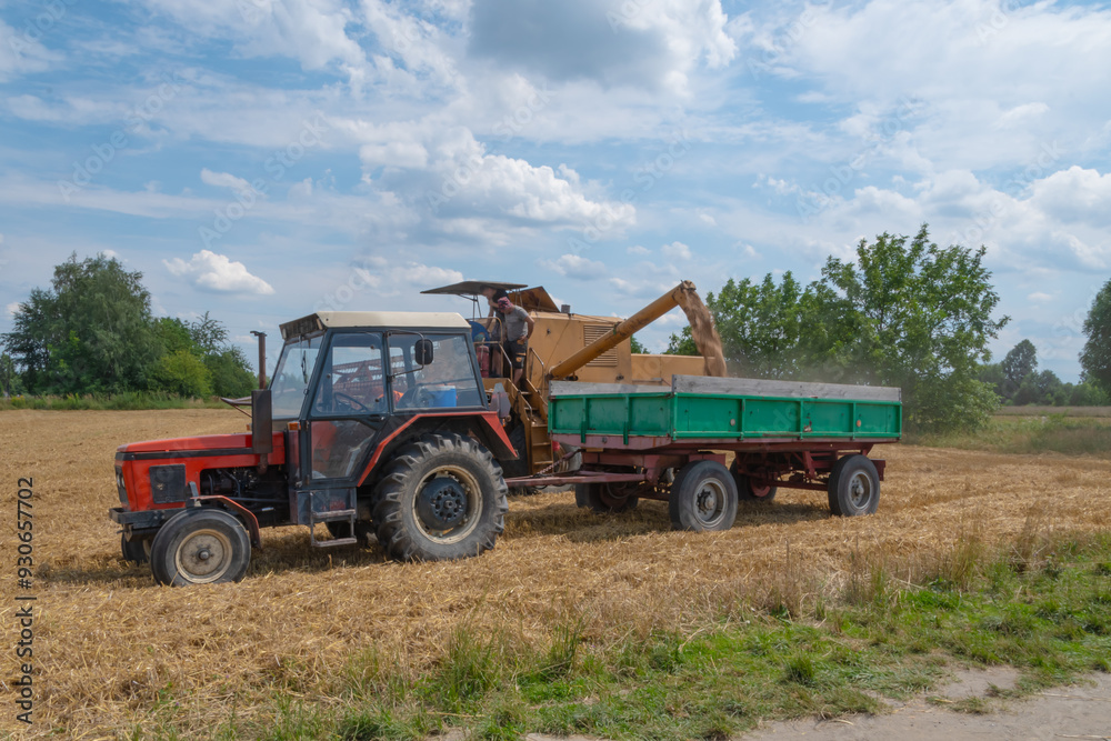 Tractor harvesting grain in a field. Men working Tractor harvesting grain in a field. Men working