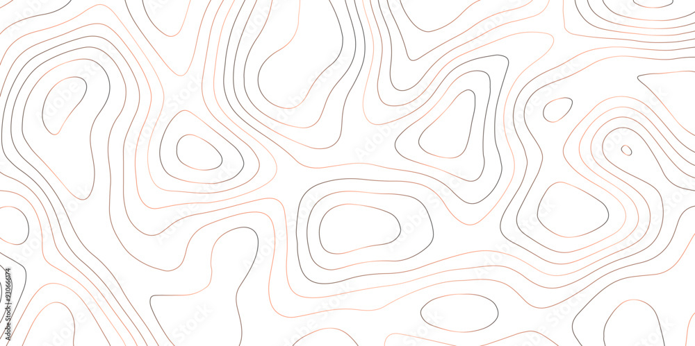 White fresh topography topology vector map contour abstract background wallpaper White fresh topography topology vector map contour abstract background wallpaper