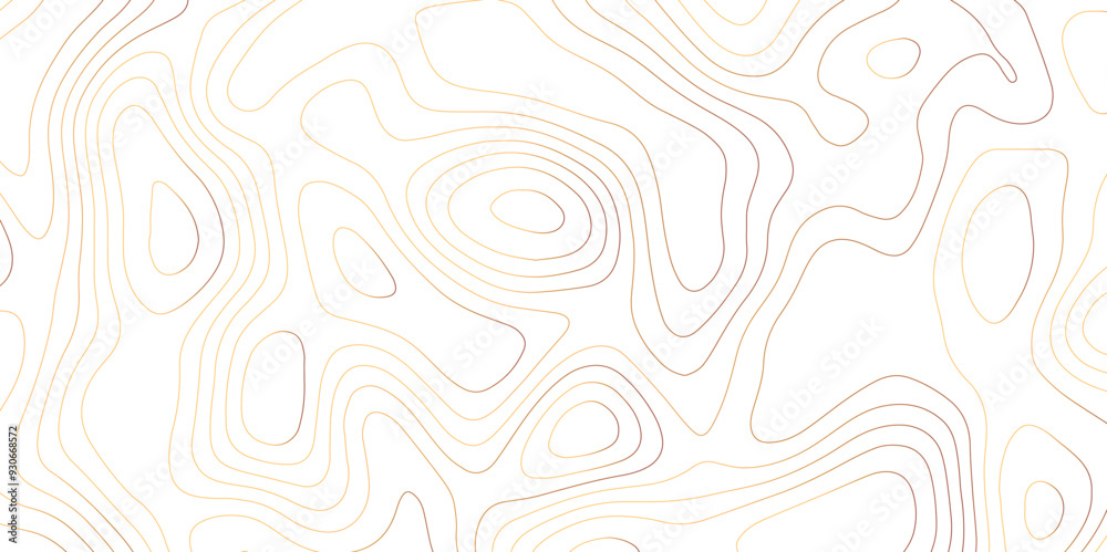 White fresh topography topology vector map contour abstract background wallpaper White fresh topography topology vector map contour abstract background wallpaper