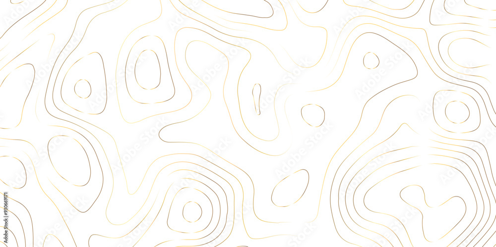 White fresh topography topology vector map contour abstract background wallpaper White fresh topography topology vector map contour abstract background wallpaper
