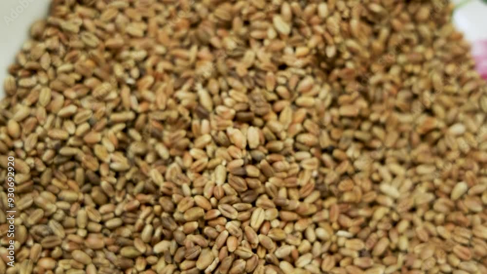 close up of a pile of buckwheat close up of a pile of buckwheat