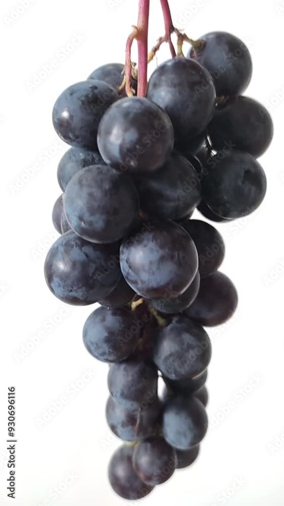 Bunch of black grapes on white background, vertical close-up video. High quality FullHD footage Bunch of black grapes on white background, vertical close-up video. High quality FullHD footage