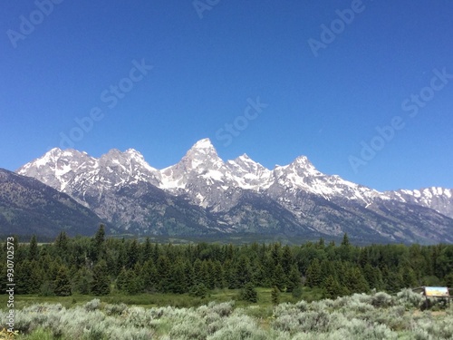 snow covered mountains