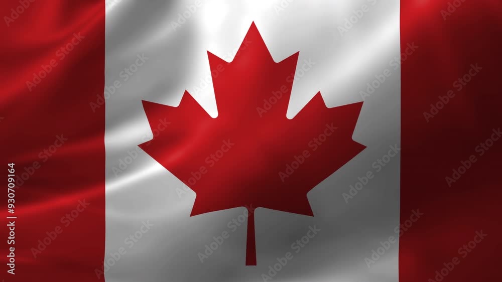 Ultra-HD realistic flag of Canada waving in the wind. Seamless loop with highly detailed fabric texture. Ultra-HD realistic flag of Canada waving in the wind. Seamless loop with highly detailed fabric texture.