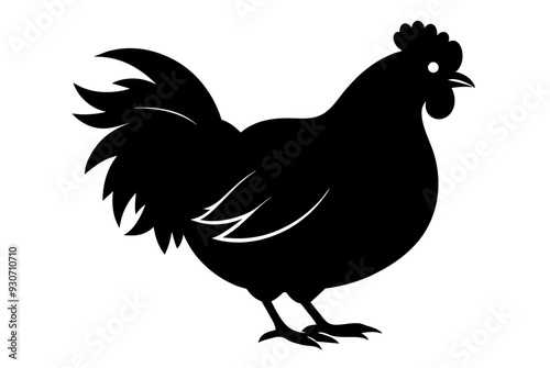 Beautiful chicken silhouette black vector art illustration photo