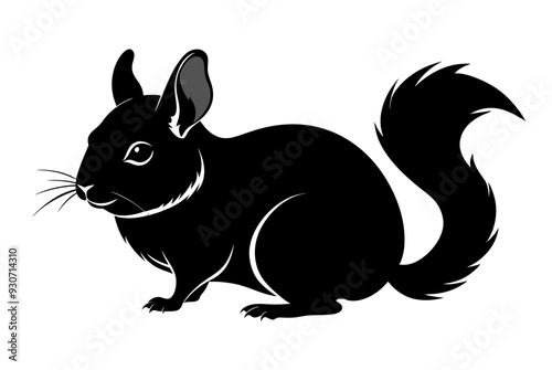 Beautiful chinchilla silhouette black vector art illustration 